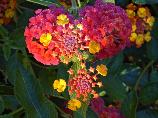 422688 (a): :1600x1200